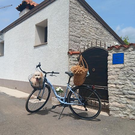 Authentic Istria&Pet Friendly Apartment Banko Near Rovinj Kanfanar Bagian luar foto