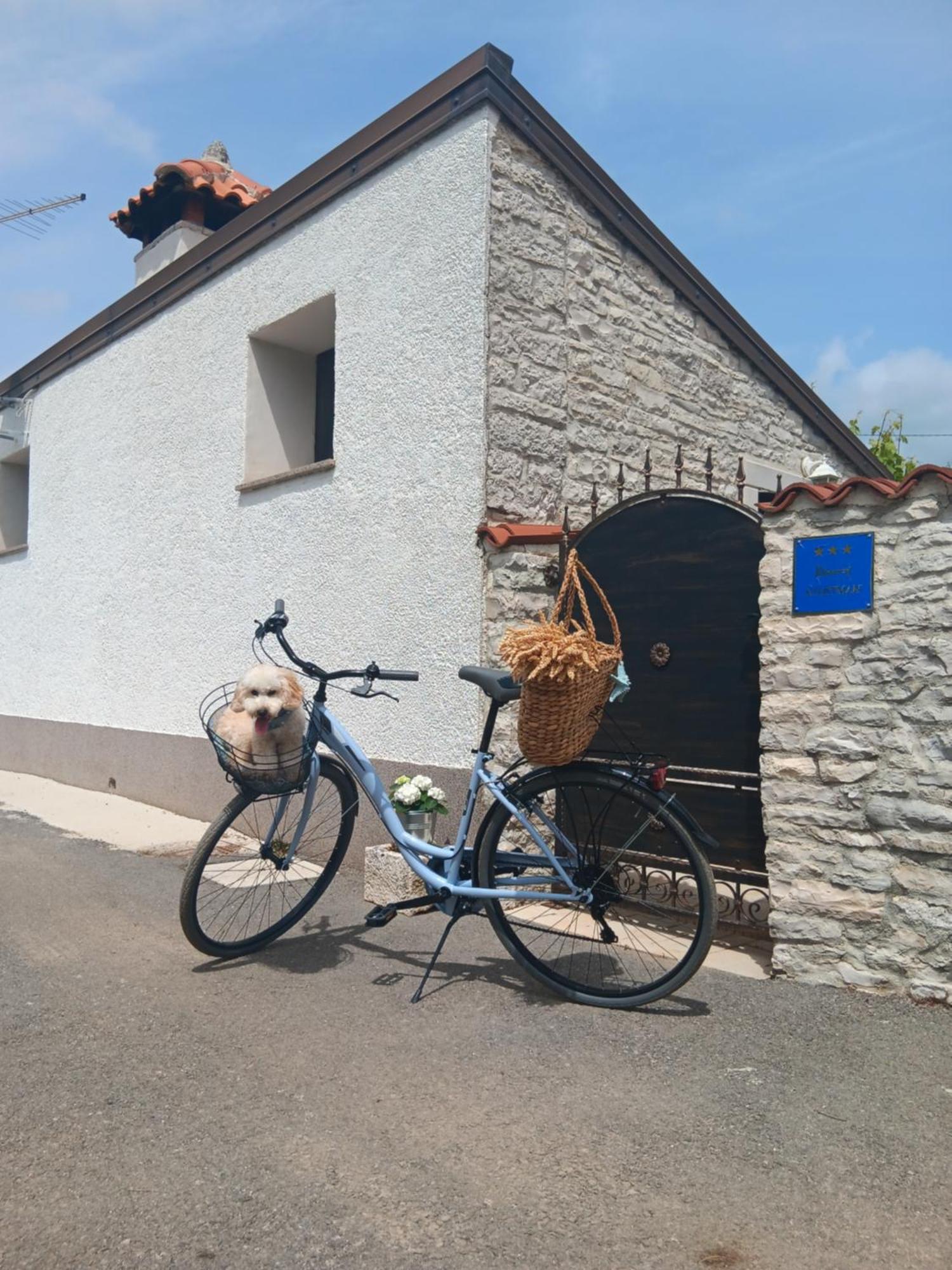 Authentic Istria&Pet Friendly Apartment Banko Near Rovinj Kanfanar Bagian luar foto