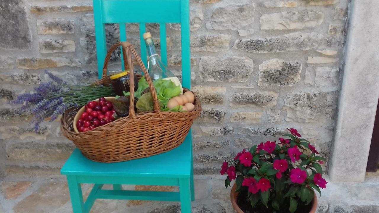 Authentic Istria&Pet Friendly Apartment Banko Near Rovinj Kanfanar Bagian luar foto